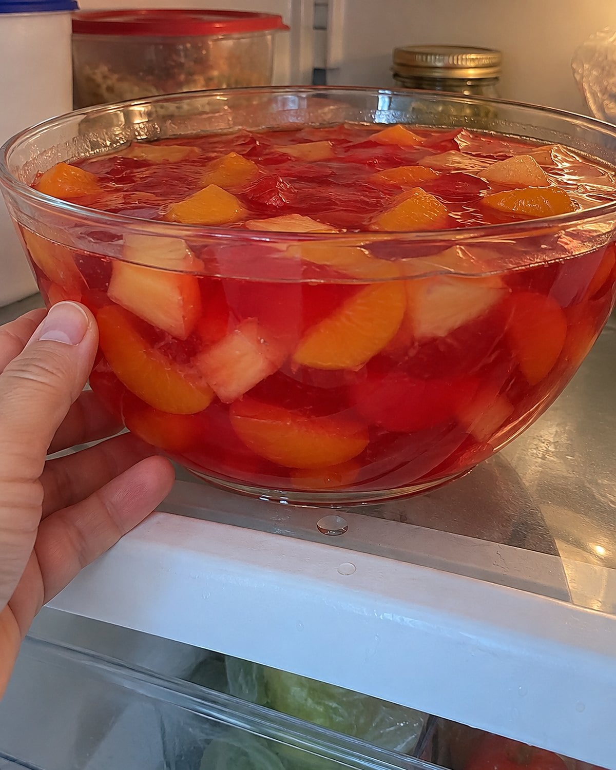 A clear bowl of gelatin salad shows canned fruit suspended at different depths on a refrigerator shelf.