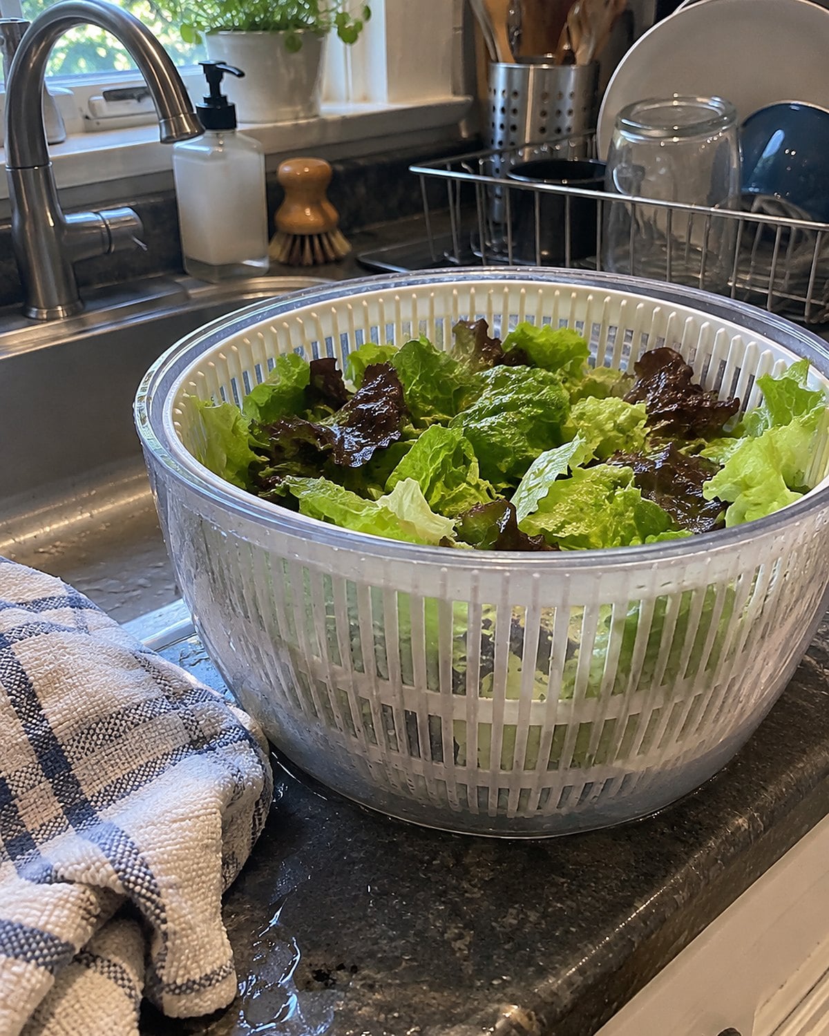 Washed lettuce fills a salad spinner beside a damp towel at the kitchen sink.