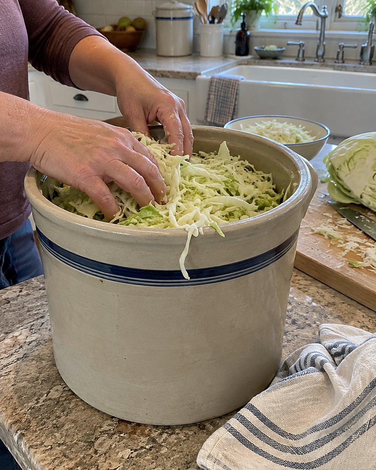 A stoneware crock of shredded cabbage on a kitchen counter, its weight visible beneath the rim.