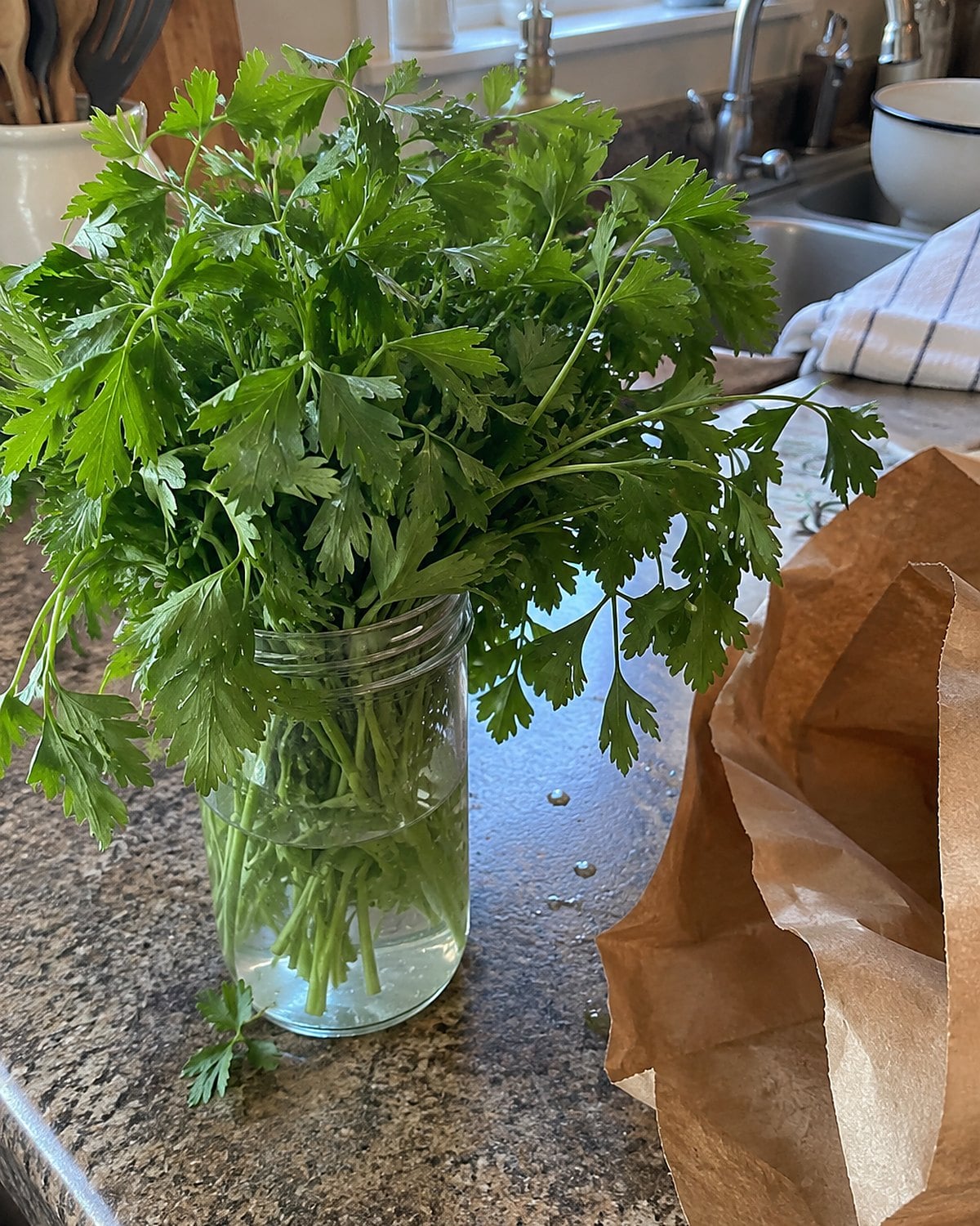 A slightly wilted bunch of parsley stands in a water jar on a kitchen counter beside its empty grocery bag.