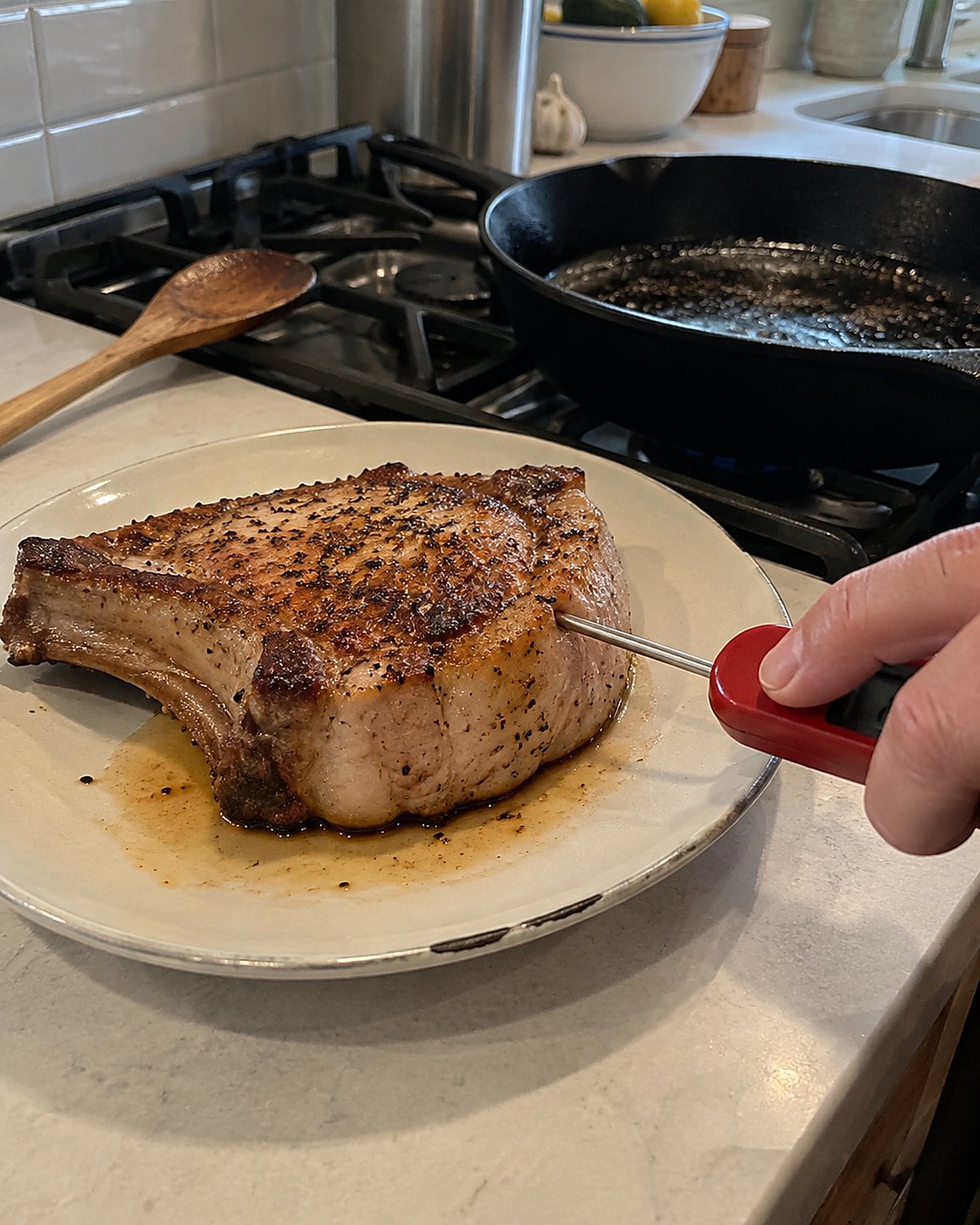 A thick pork chop resting on a chipped plate beside a cast-iron pan, with a thermometer in its side.