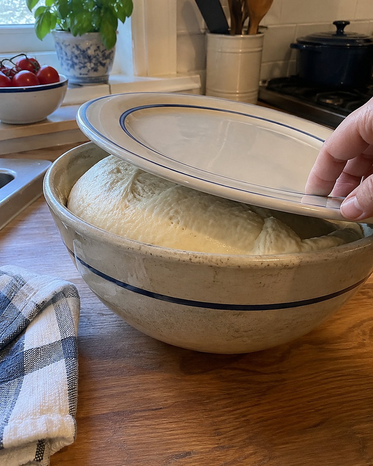 A saucer covers a bowl of rising dough near the back of a kitchen counter.