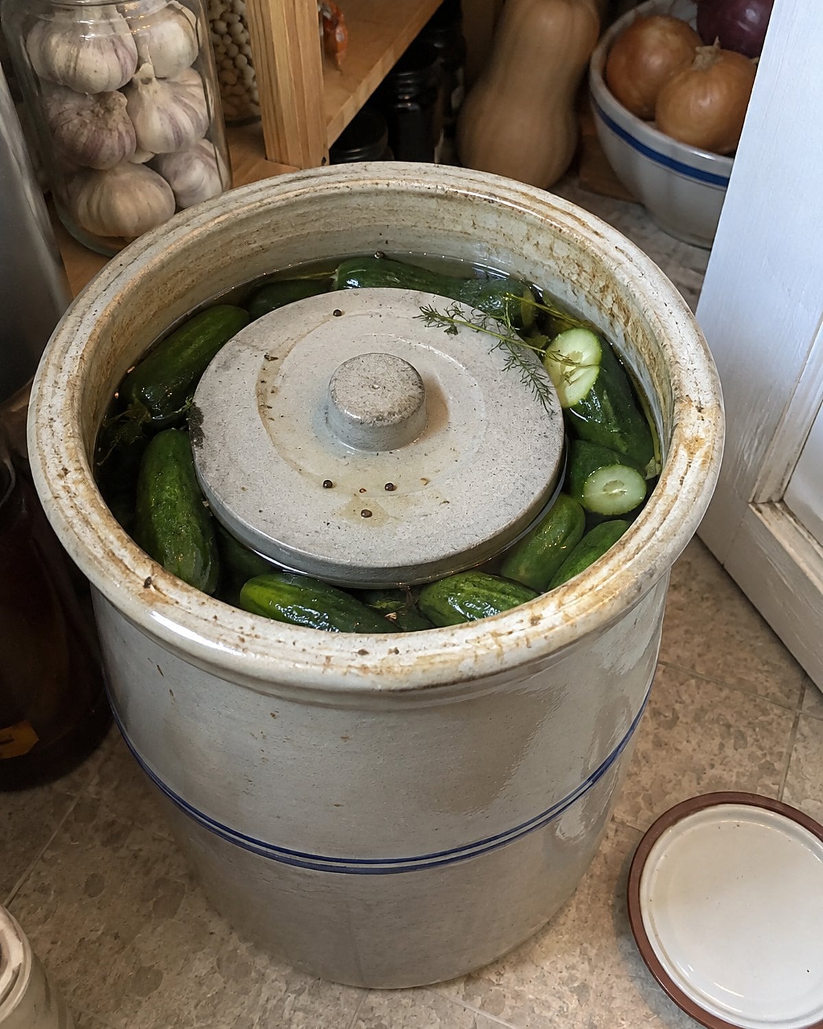 An older stoneware crock sits open on a pantry floor, with cucumbers visible beneath a weight.