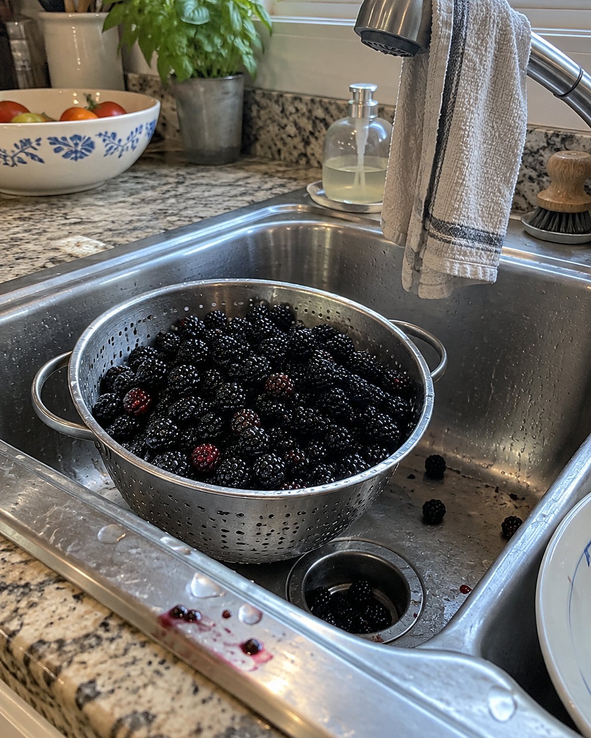A colander of blackberries in the sink with a few berries caught near the drain.