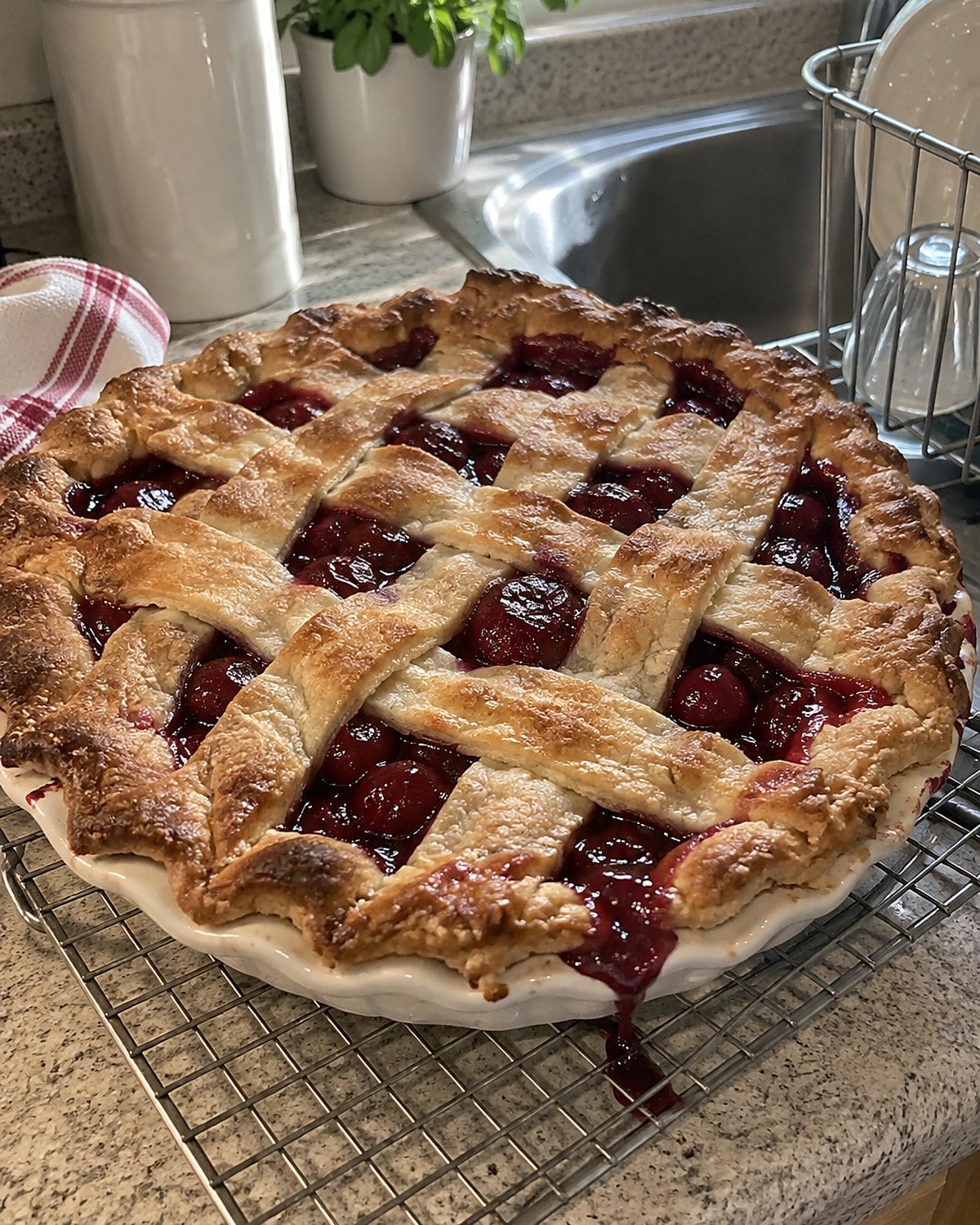 A cherry pie with an uneven lattice cooling on a wire rack by the sink.