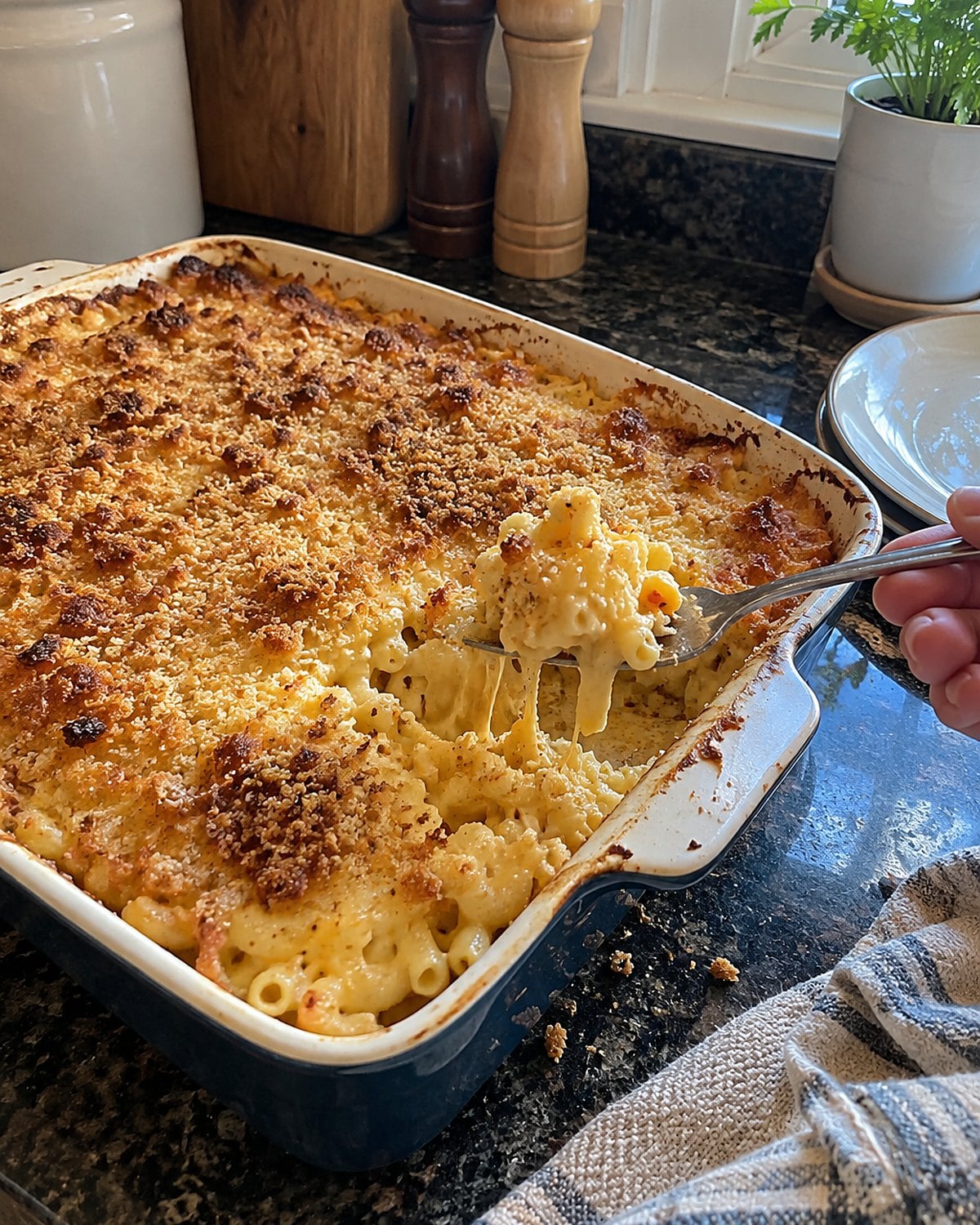 A fork lifts macaroni and cheese with a browned breadcrumb top from a baking dish.