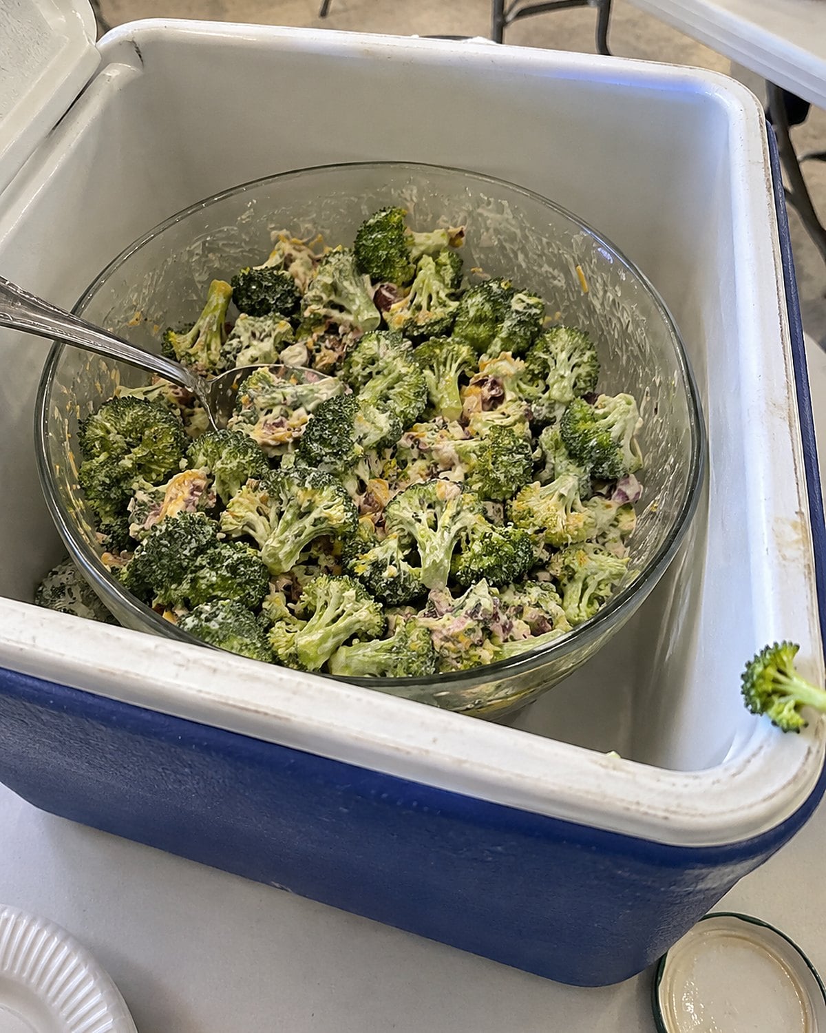 A bowl of broccoli salad sits in a cooler on a church hall table.