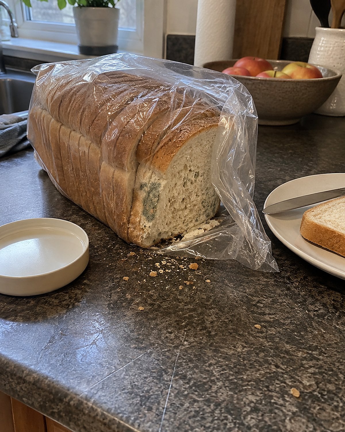 A loaf of sliced bread with one moldy corner visible inside its open bag.