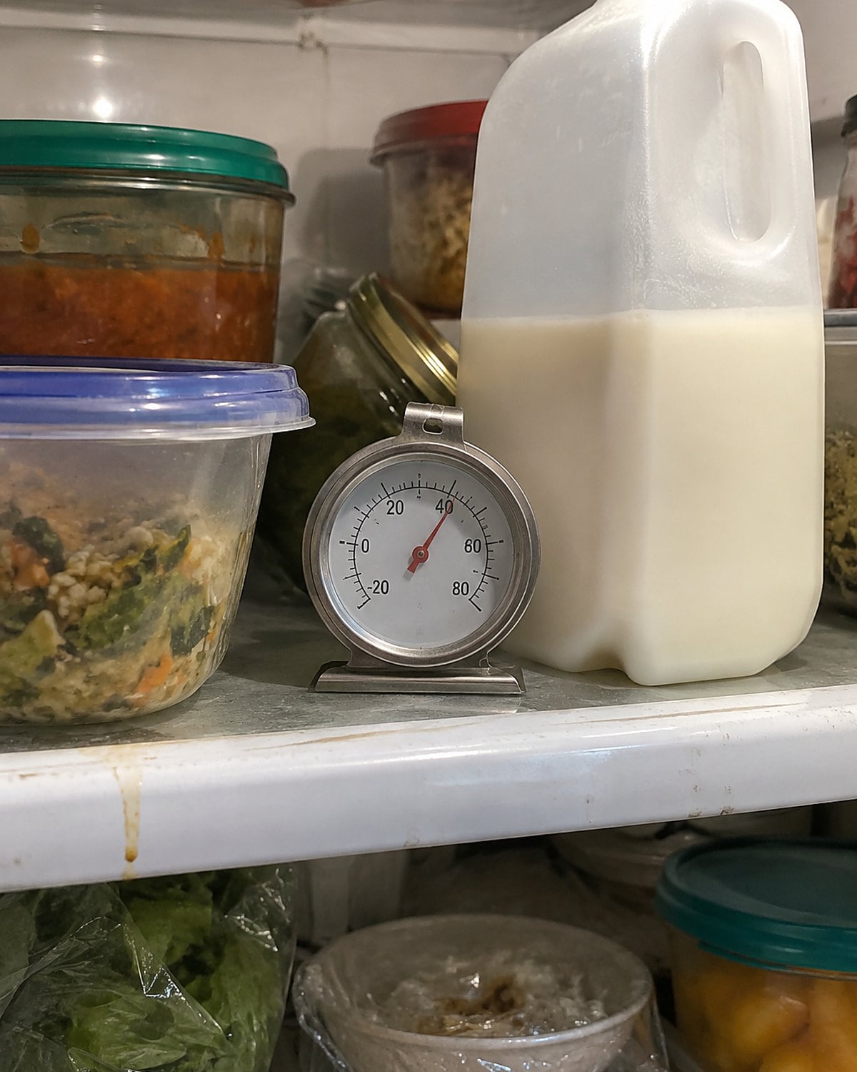 A small appliance thermometer on a crowded refrigerator shelf beside a carton of milk.