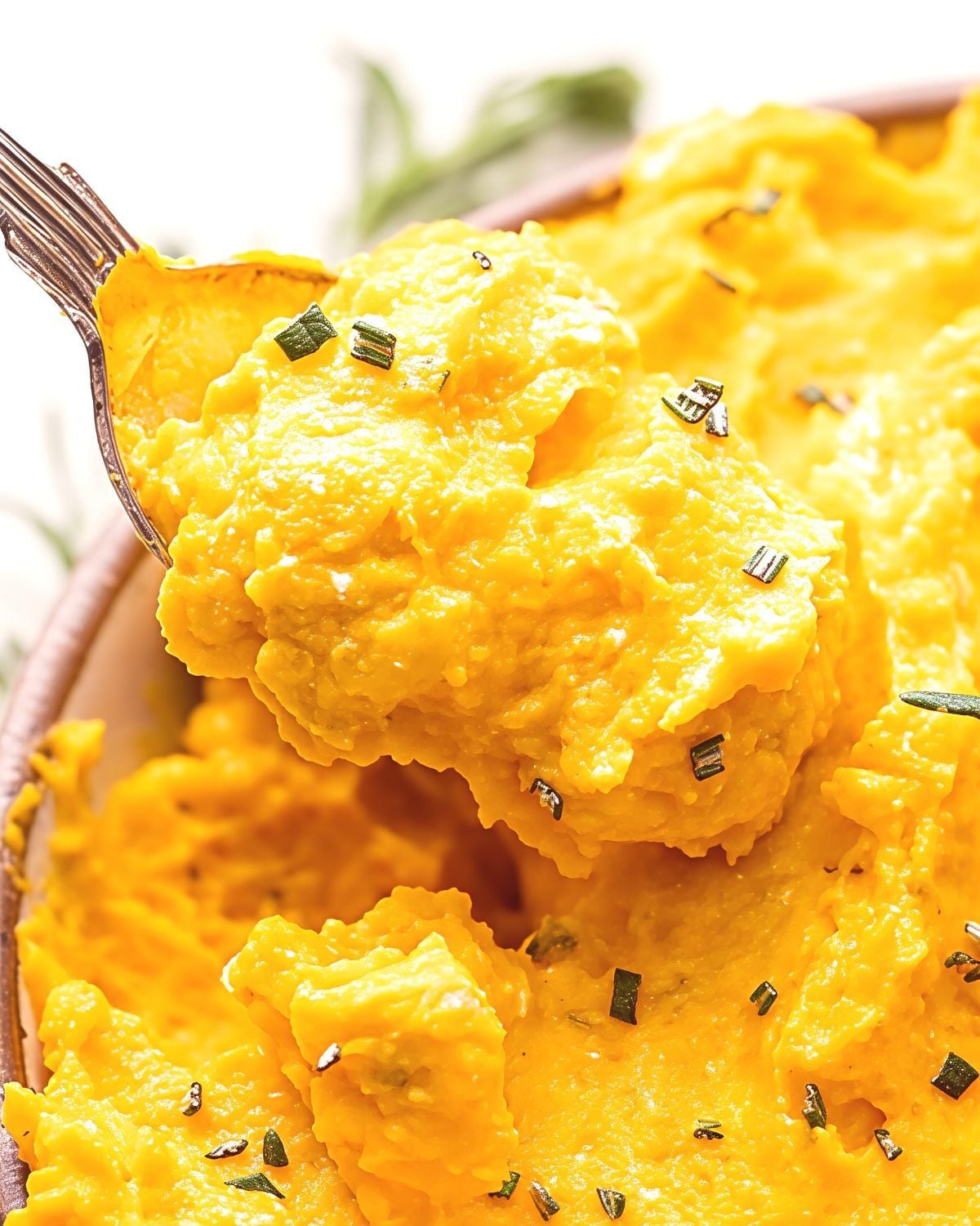 A spoonful of creamy mashed butternut squash garnished with fresh rosemary and herbs, served as one of the best gluten-free Thanksgiving side dishes.