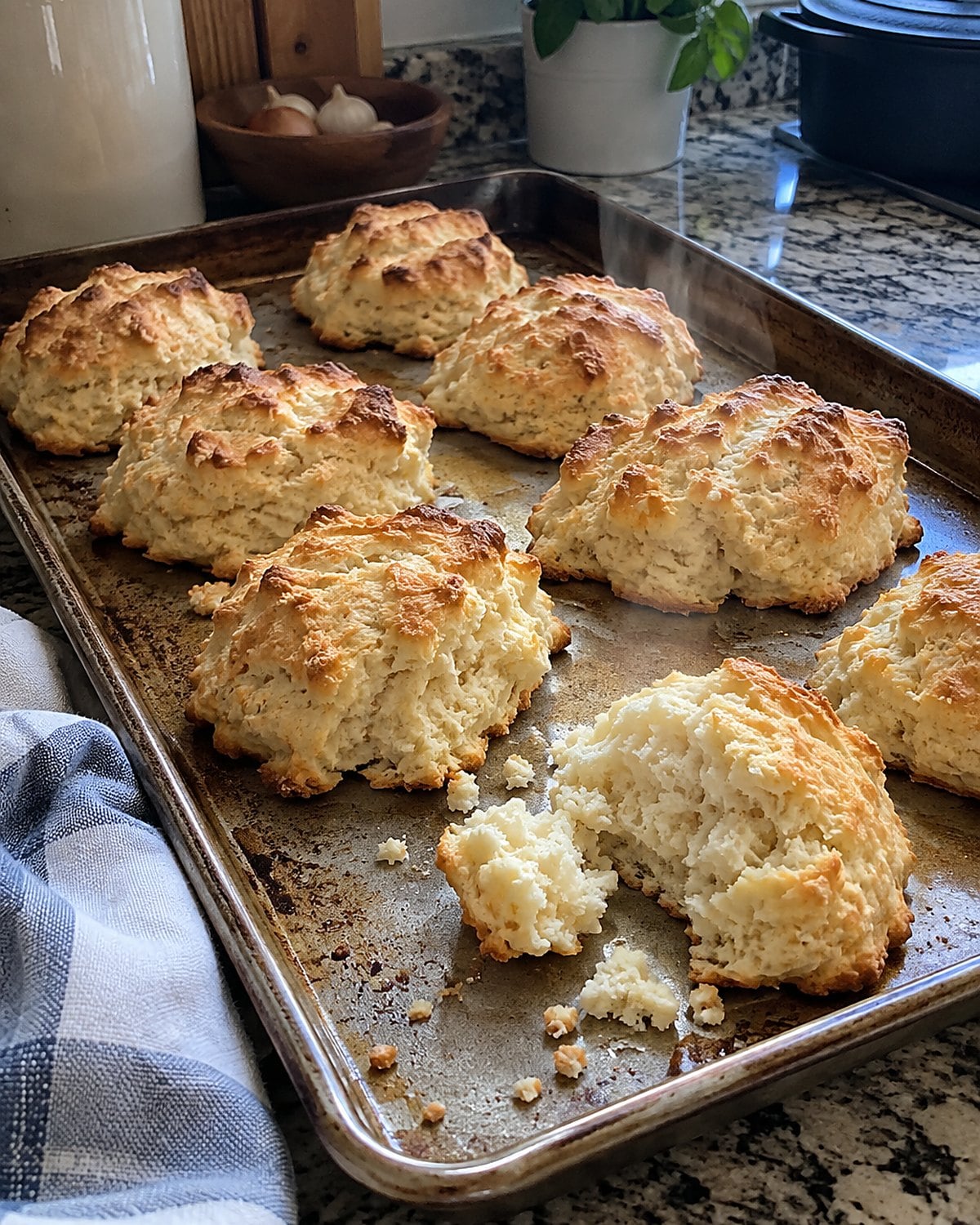 Rough-topped drop biscuits sit on a baking sheet with one broken open.