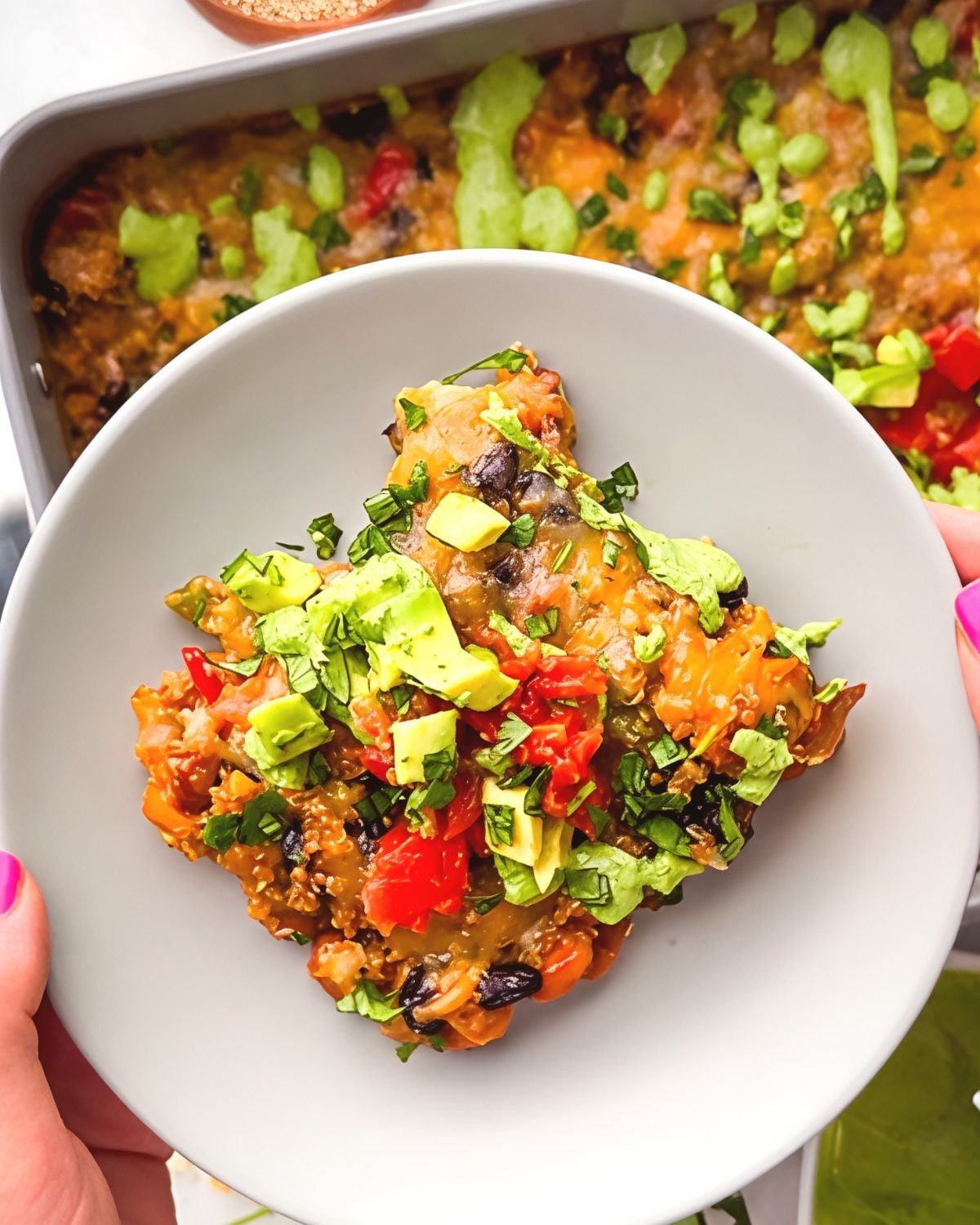Quinoa enchilada casserole dump-and-bake recipe served on a plate and topped with avocado and cilantro.