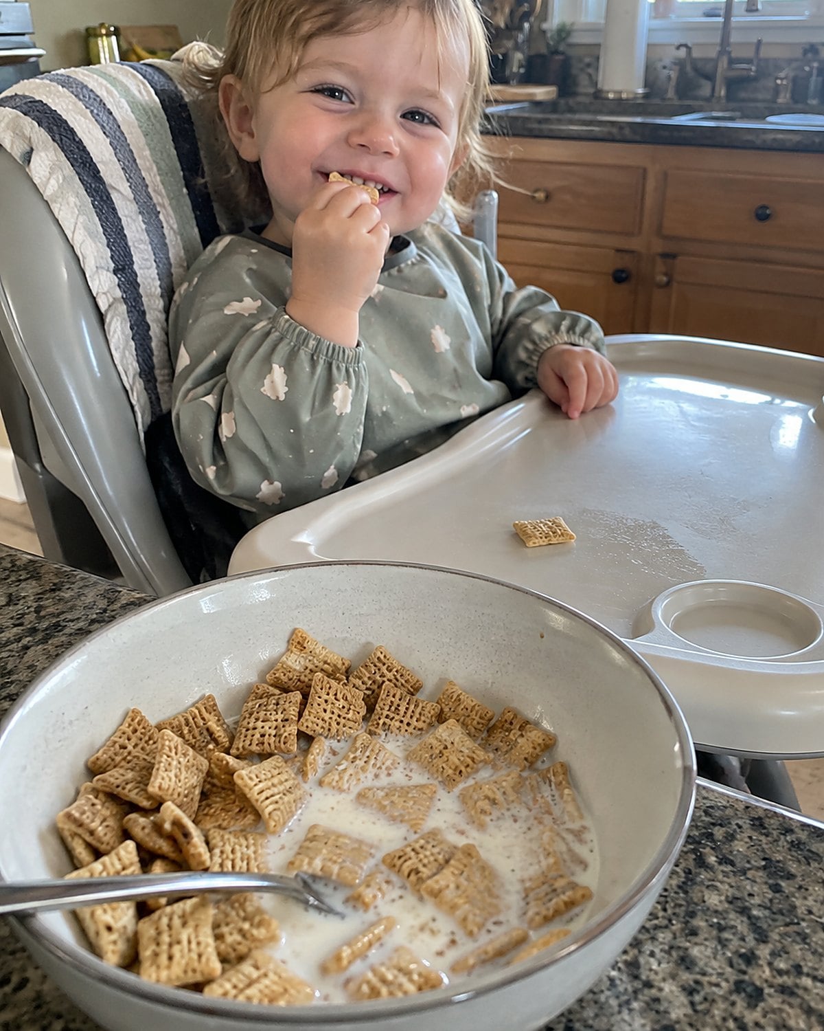 Oat cereal squares, some dry and some in milk, in a bowl beside a grandchild's high chair.