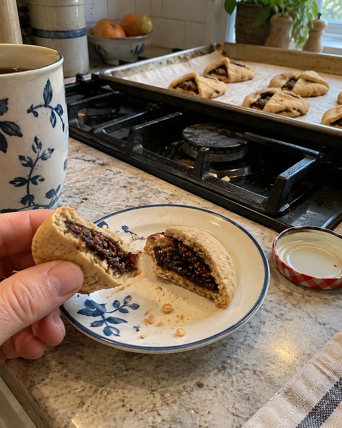 A split fig cookie showing its filling on a chipped saucer by the stove.