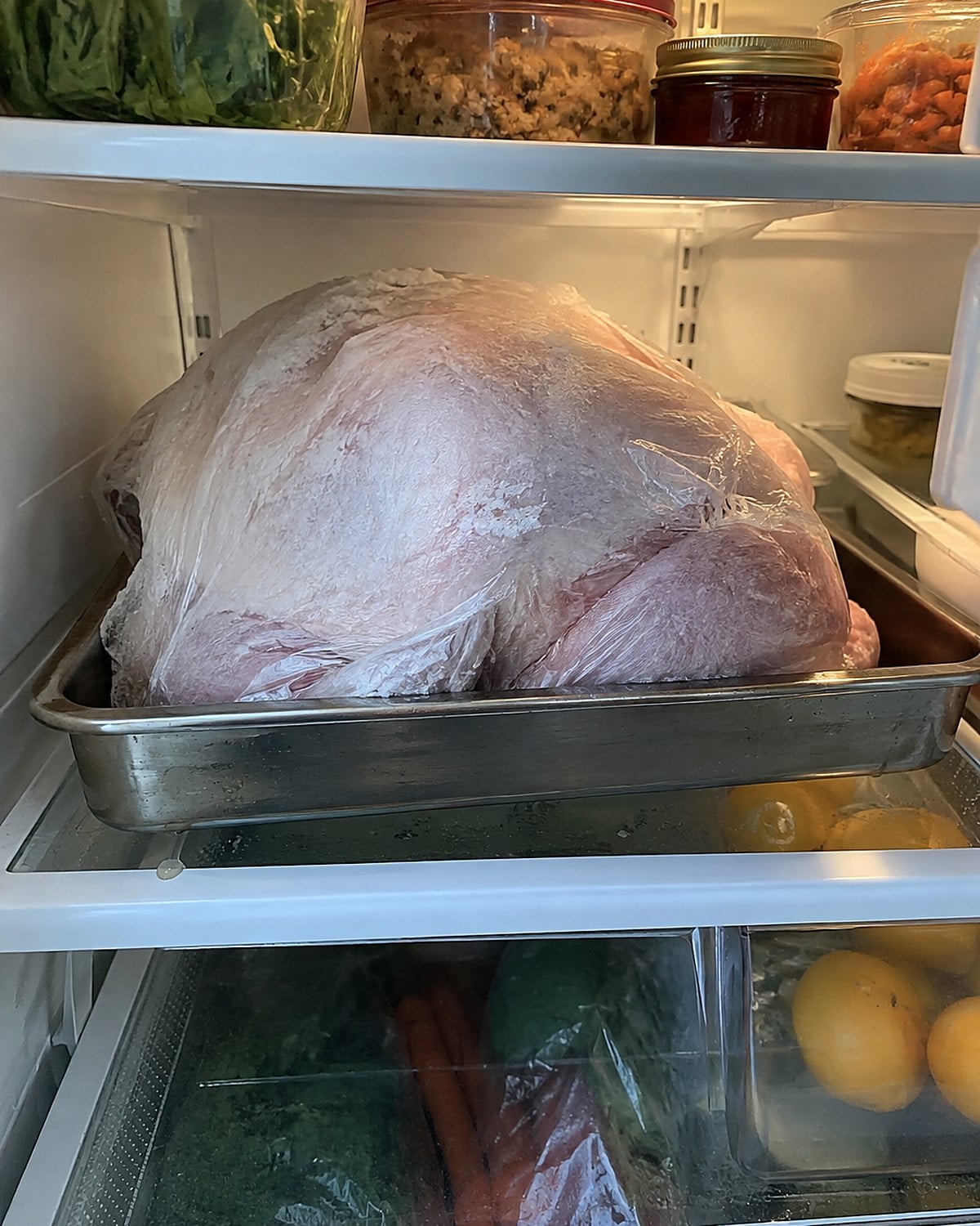 A wrapped frozen turkey sits in a rimmed tray on a refrigerator shelf.