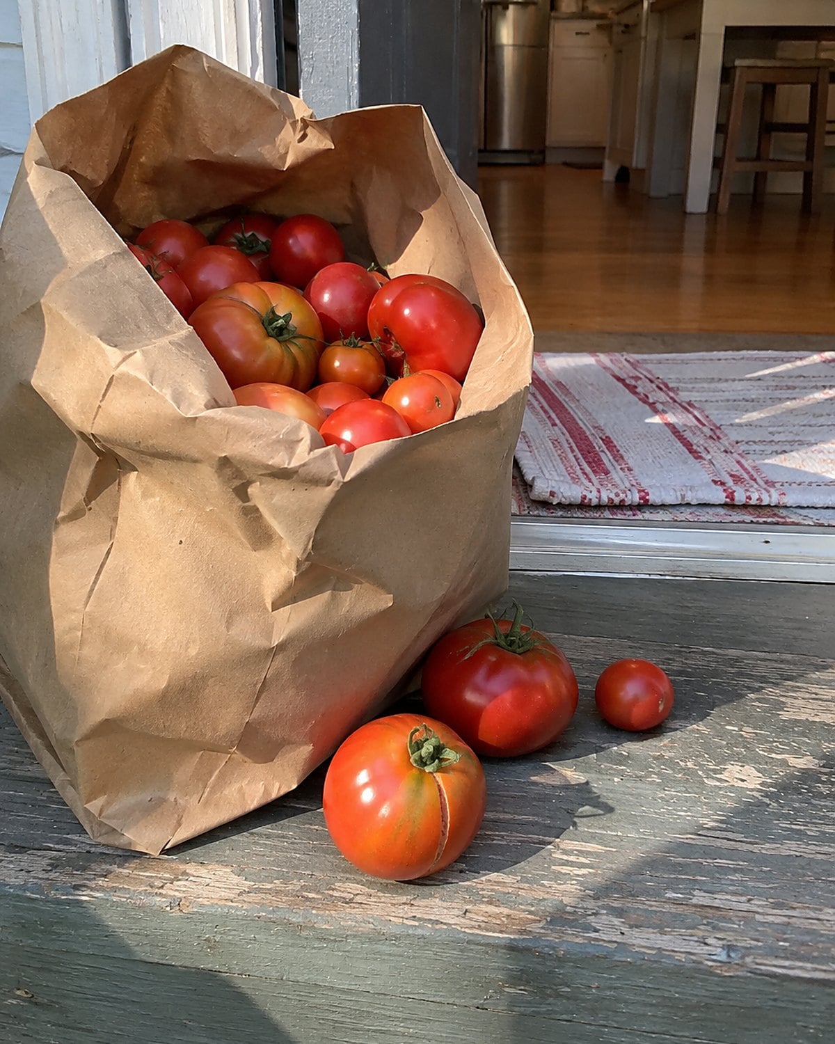 A paper bag of garden tomatoes rests by a porch door, with a few tomatoes spilling onto the step.