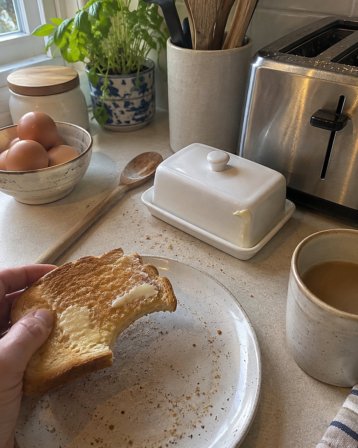 A lidded butter dish sits beside a toaster, with toast crumbs on the counter.