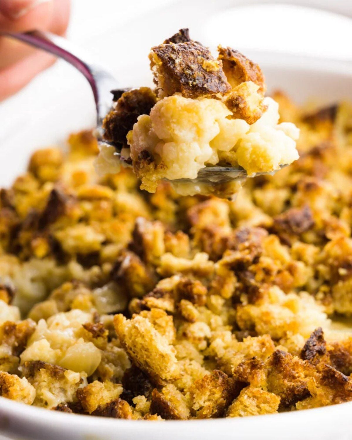 Creamy vegan cauliflower gratin in a baking dish topped with golden breadcrumbs, being scooped with a spoon for a Thanksgiving side dish.